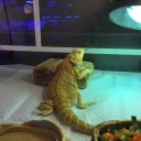 お正月２日目