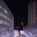 満月