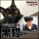 【MTG】本日2月4日17時ころからTwitchにて斉田逸寛「マジックと時々、黒猫」放送！