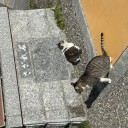 2/8 おかえりとっつー