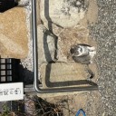 お礼参り