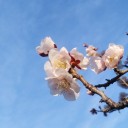 もうすぐ